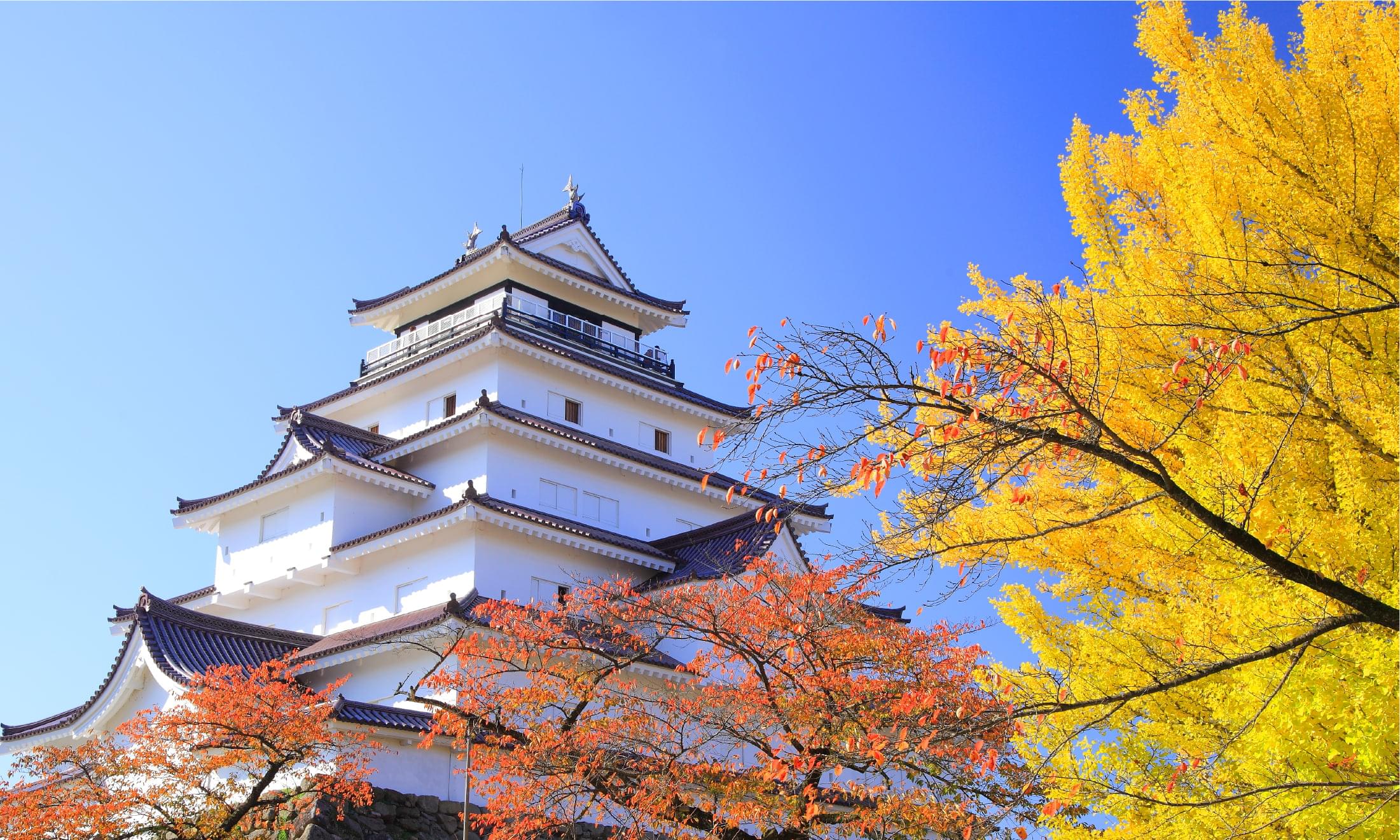 秋の鶴ヶ城公園散策